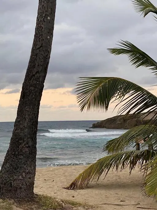 Marie Guest House Camuy